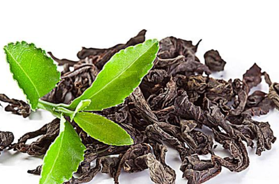 茶迷創業 加盟還是自營？解析茶葉代理與銷售之路